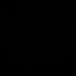 Meet your Posher, Cesar